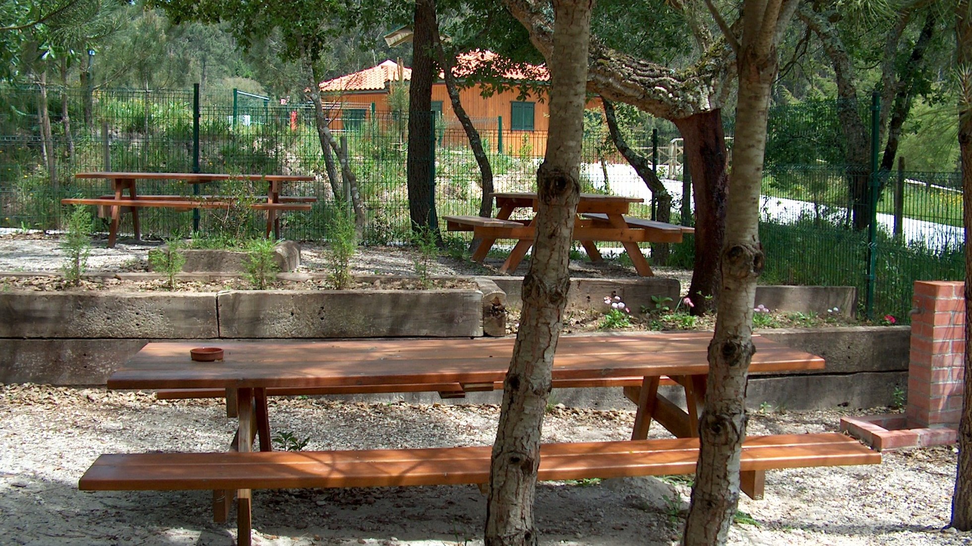 Iberian Wolf Recovery Center